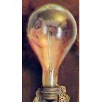 Bulb