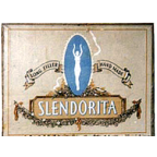 Slendorita