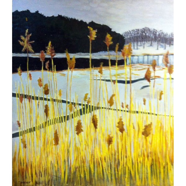 Cattails in a Winter Marsh