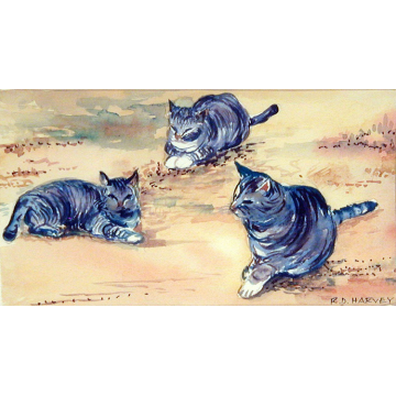 Three Cats 