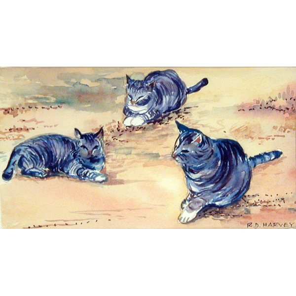 Three Cats 