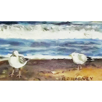 Two Gulls by the Surf